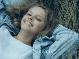 Taitflynt