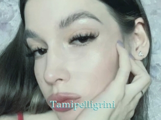 Tamipelligrini