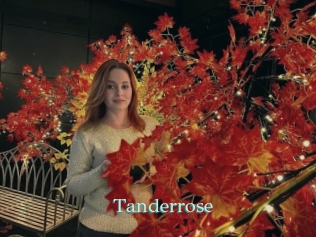 tanderrose 1 grosse cochonne