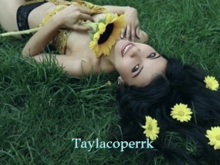 taylacoperrk 1 grosse cochonne