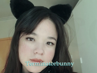 Terminatorbunny