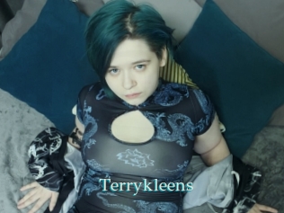 Terrykleens