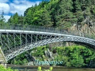 Testvenice