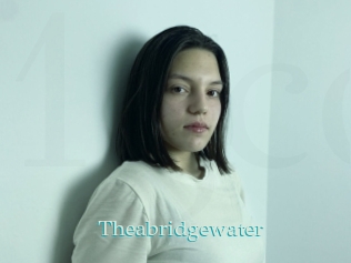 Theabridgewater