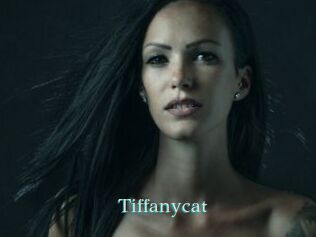 Tiffanycat