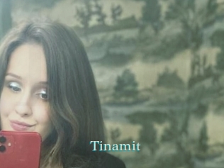 Tinamit