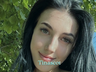 Tinascot