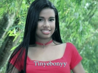 Tinyebonyy
