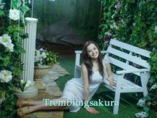 Tremblingsakura