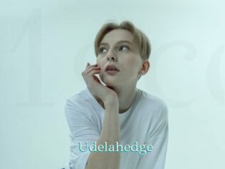 Udelahedge