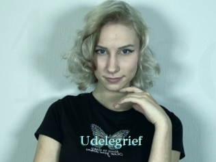 Udelegrief