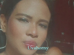 Uvahorny