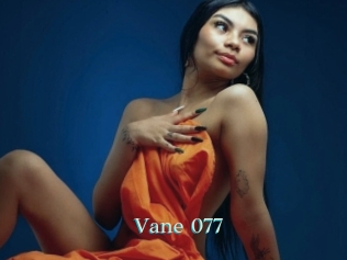 Vane_077