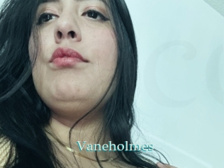 Vaneholmes