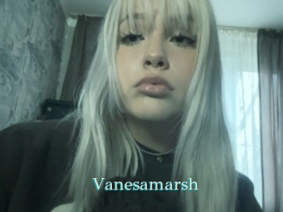 Vanesamarsh