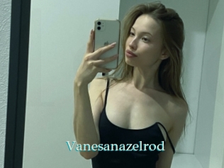 Vanesanazelrod
