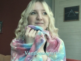 Vannessaspark