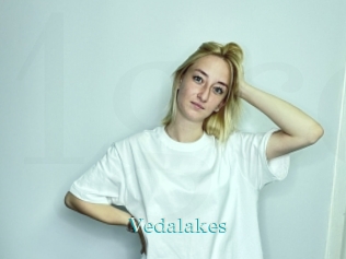 Vedalakes