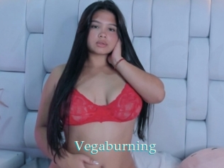 Vegaburning