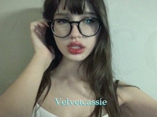 Velvetcassie