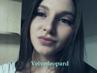 Velvetleopard