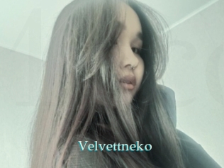 Velvettneko