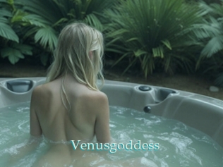 Venusgoddess