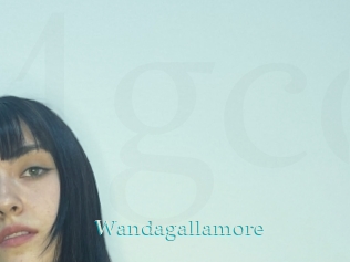 Wandagallamore
