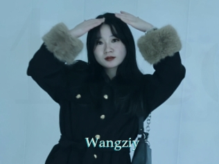 Wangziy