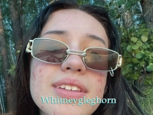 whitneygleghorn 1 grosse cochonne