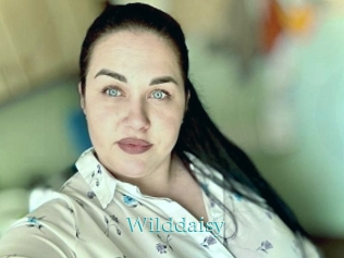 Wilddaisy