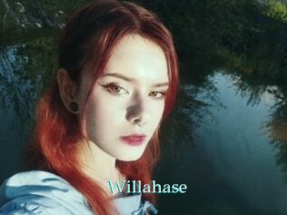 Willahase