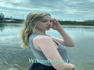 Wilonebolyard