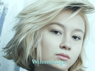 Wilonefudge