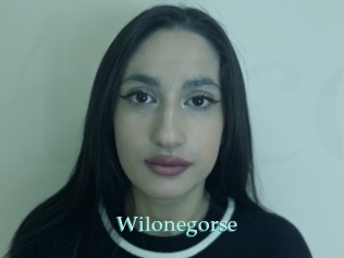 Wilonegorse