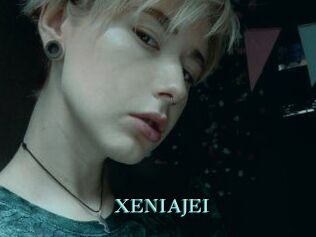 XENIA_JEI