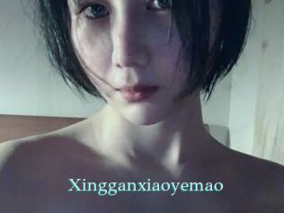 Xingganxiaoyemao