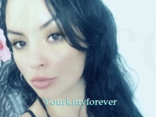 Yourkittyforever