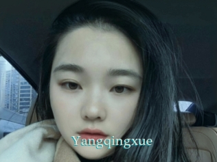 Yangqingxue