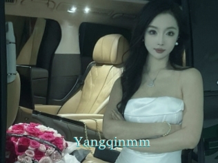 Yangqinmm