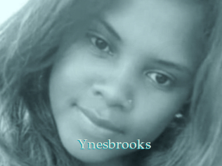 Ynesbrooks