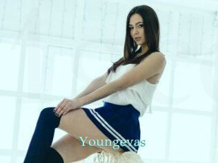 Youngevas