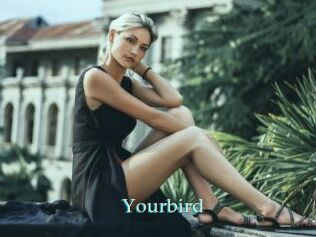 Yourbird