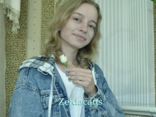 Zeldacatts