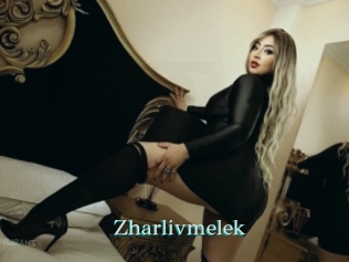 zharlivmelek 1 grosse cochonne